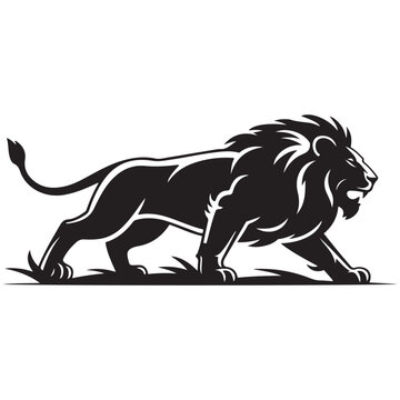 A aggresive lion running pose Vector Black silhouettes. with white background