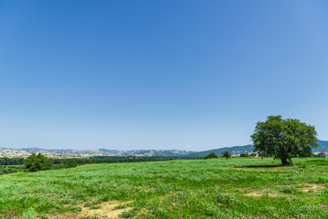 Obraz premium summer countryside landscape inside val d'agri, basilicata