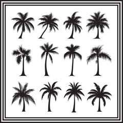 Palm Tree Silhouettes Collection – Set of 12 Tropical Coconut Trees in Various Shapes – Black Clipart Vector for Beach, Island, Nature, Summer, Travel, and Exotic Design Projects
