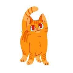 Fototapeta premium Gato naranja