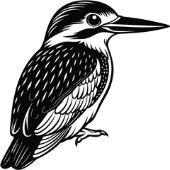 Obraz premium Common Kingfisher illustration white background