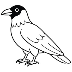 Fototapeta premium Common Raven illustration white background