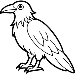 Obraz premium Common Raven illustration white background