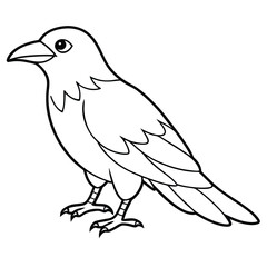 Fototapeta premium Common Raven illustration white background