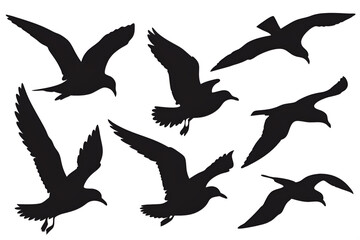 silhouettes of birds, Set of Silhouette of seagulls	