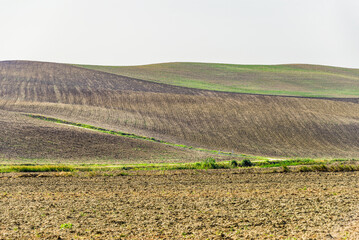 summer countryside landscape inside val d'agri, basilicata
