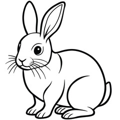 Obraz premium Cottontail Rabbit illustration white background