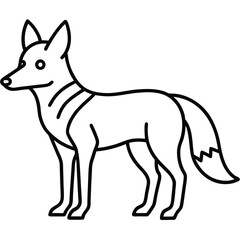 Coyote illustration white background