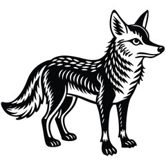 Obraz premium Coyote illustration white background