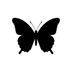 Butterfly Silhouette Vector Illustration Isolated on White Background