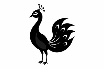 Fototapeta premium peacock isolated on white
