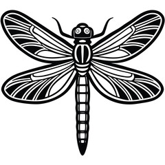 Dragonfly illustration white background