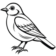 Obraz premium Eastern Bluebird illustration white background