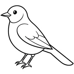 Obraz premium Eastern Bluebird illustration white background