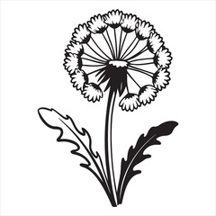 Bright Yellow Dandelion Flower in Bloom Close-Up