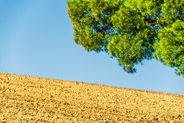 summer countryside landscape inside val d'agri, basilicata
