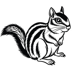 Obraz premium Adobe Illustrator ArtworEastern Chipmunk illustration white backgroundk