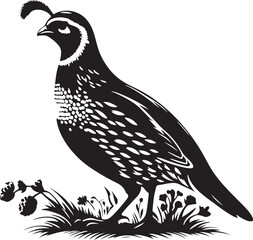 Quail silhouette vector - quail illustration - quail black vector