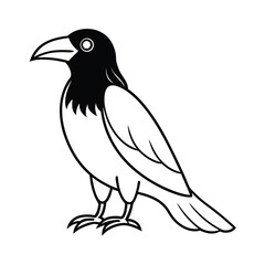 shani with crow
