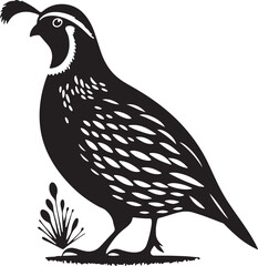 Quail silhouette vector - quail illustration - quail black vector