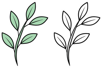 Green leafy sprig stands near its outline counterpart, both isolated on white background