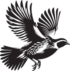 Quail silhouette vector - quail illustration - quail black vector