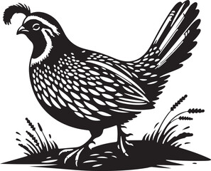 Quail silhouette vector - quail illustration - quail black vector