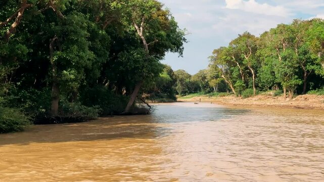 River rafting by boat in Cambodia in a fishing village in the mandra forests