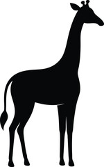 Vector silhouette of a giraffe on white background