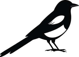 Sparrow Silhouette
