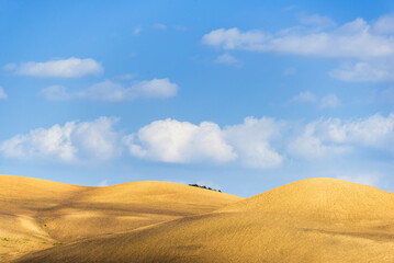 Fototapeta premium summer countryside landscape inside val d'agri, basilicata