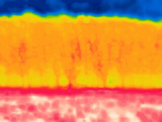 The park in autumn, Image thermal imager device.
