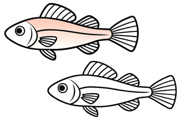 Two streamlined fish illustrations present a gradient salmon colored fish and simple outline on white