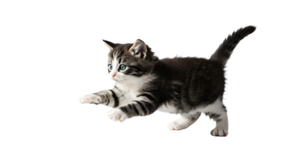 Playful kitten leaping across a bright background, capturing a moment of curiosity and energy in a home setting