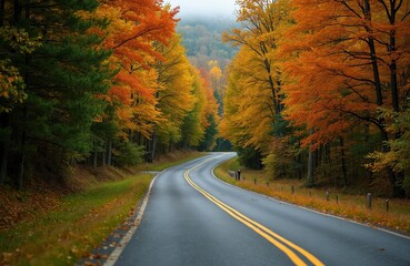 Obraz premium Winding country road in West Virginia. Autumn season colors. Yellow, orange, green leaves trees surround asphalt highway. Travel, road trip. Scenic landscape, mountain view.