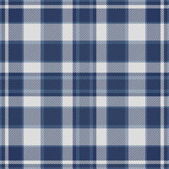 Classic blue and white plaid pattern.  Perfect for textile design, apparel, home decor, or website backgrounds. This versatile image conveys a sense of tradition, comfort, and style.