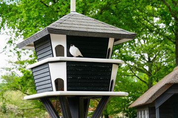 big dovecote in the park