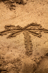 Cute palm drawing in the sand on the beach.