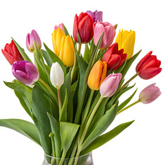 Obraz premium bouquet of tulips isolated on transparent background