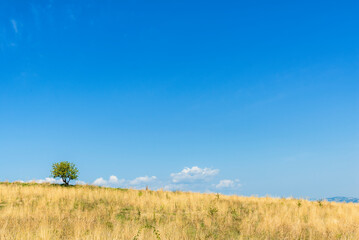Obraz premium summer countryside landscape inside val d'agri, basilicata
