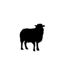 Sheep silhouette icon vector