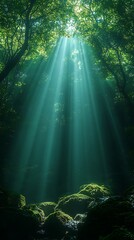 Obraz premium Sunlight magic green forest charm high resolution hd image