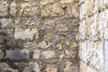 The background of the stone wall is a gray stone with a variety of stones. Close -up