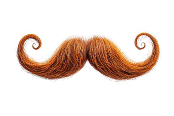 A vibrant ginger mustache with curled ends isolated on a black background for design elements use