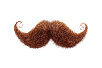 A detailed close up of a large brown handlebar mustache with curled ends on a black background