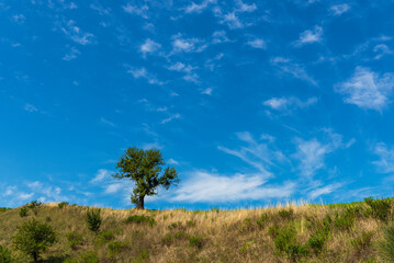 Obraz premium summer countryside landscape inside val d'agri, basilicata