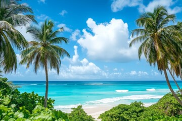 Fototapeta premium Tropical beach paradise with palm trees and clear blue ocean under a sunny sky
