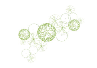 architecture drawing plant tree top view plan greenery vegetation vector. design nature architectural landscape set element illustration bush garden flora sapling minimal. architect isolated.