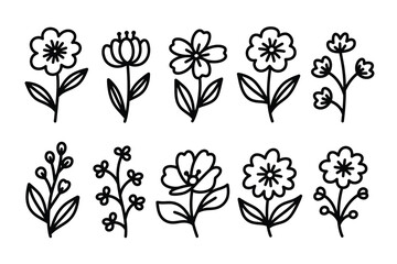FLORAL SKETCH OUTLINE HAND DRAWN DESIGN