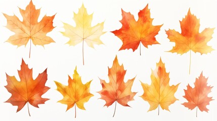 A collection of hand-painted watercolor maple leaves in shades of red, orange, and yellow, arranged artistically on a clean white background. 
